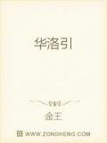 华洛引