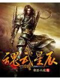 魂武星辰